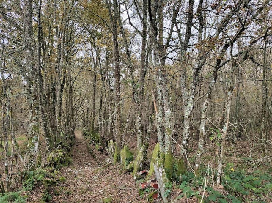 Casa Carmina: Casa Para Pequenos Grupos En El Corazon De Galicia O Irixo Ngoại thất bức ảnh